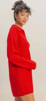 Load image into Gallery viewer, DOUBLE ZERO ~ Sophisticated Polo Long Sleeve Sweater Dress
