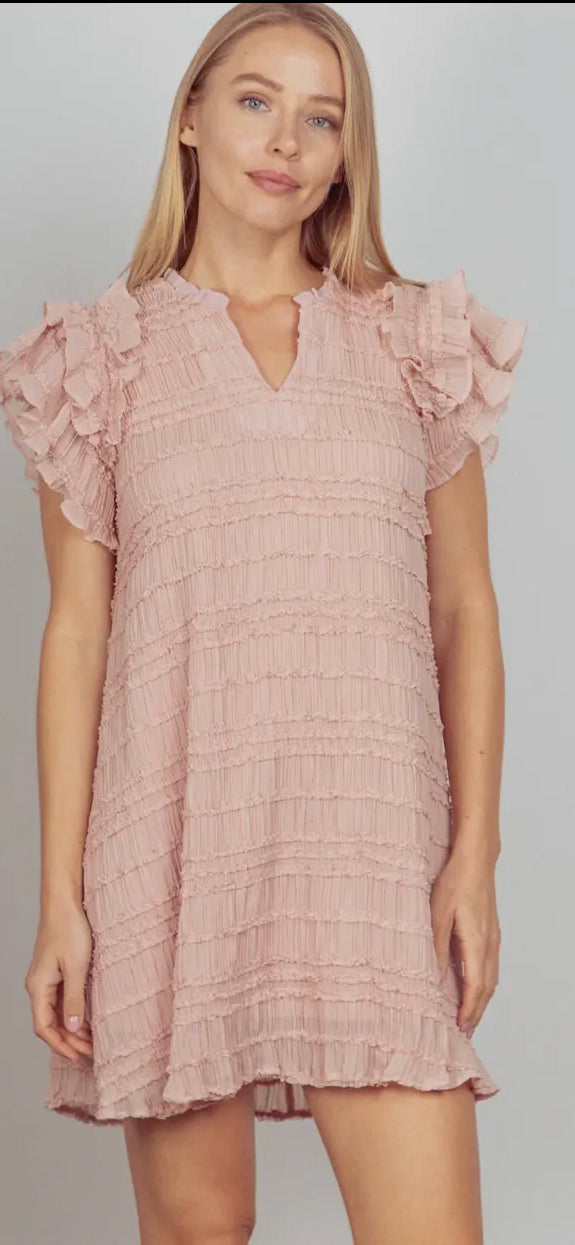 Ruffled Sleeve Blush Dress