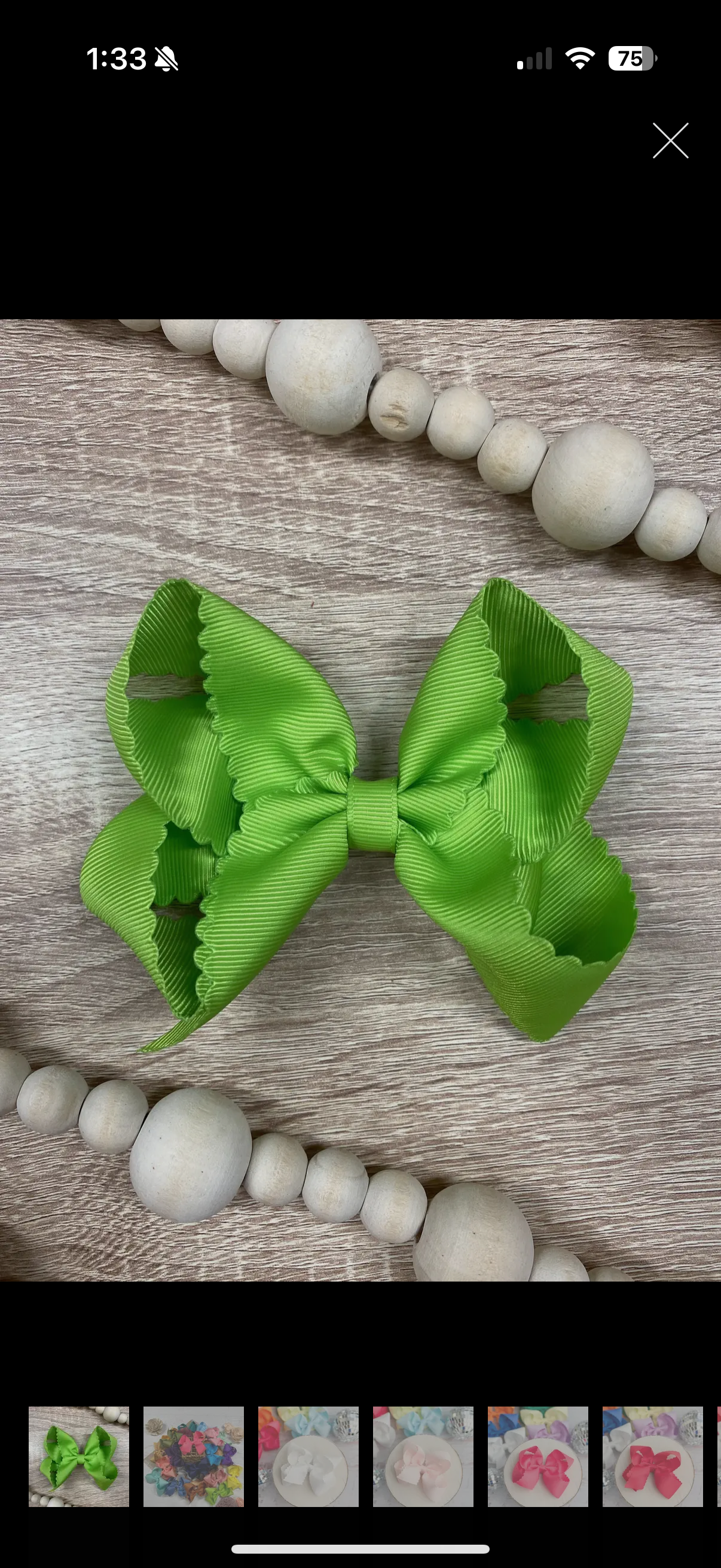 Classic Scalloped Bow- Alligator Clip