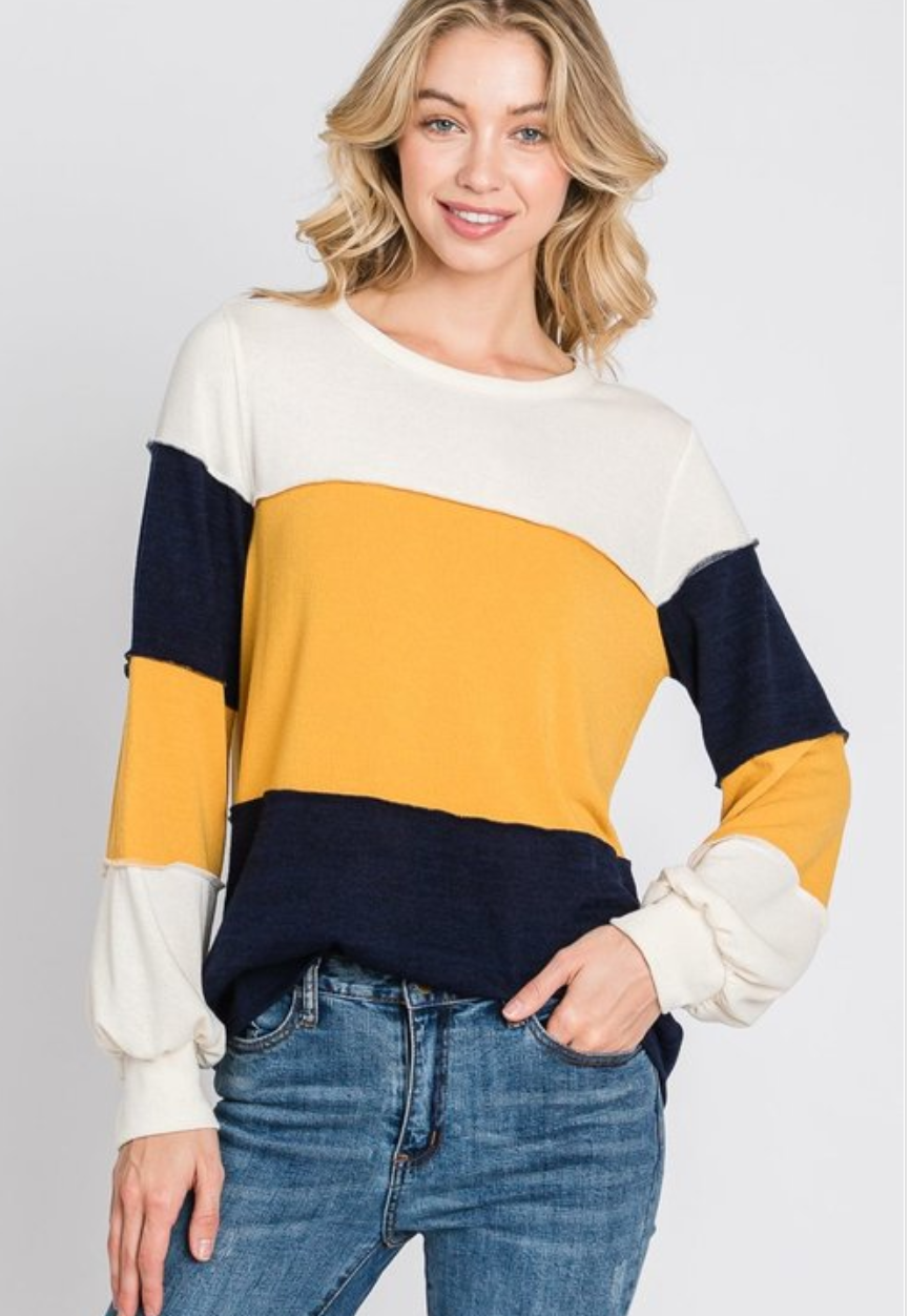 Hailey & Co Color Block Top 3 Colors